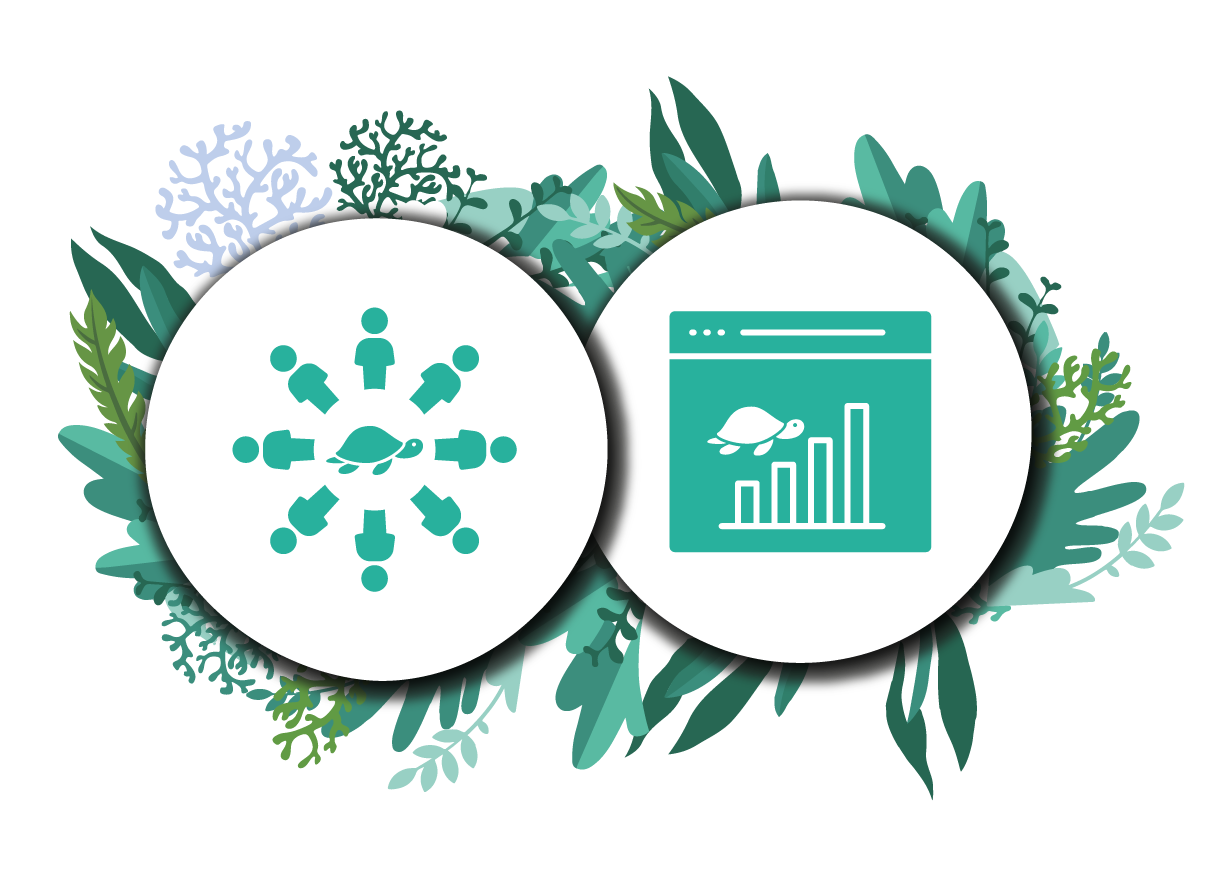 A turtle with a circle of people around it on the left, and a graph with a turtle on the right, representing citizen participation and analysis of project observations.