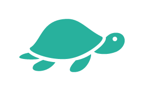 sea turtle icon