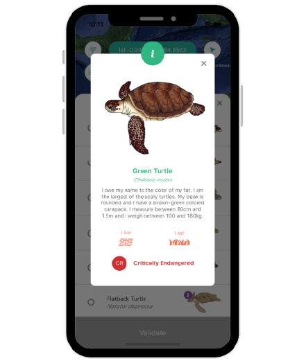 Sea turtle details screen, with a Green Turtle, is scientific name, informations and status of conservation.